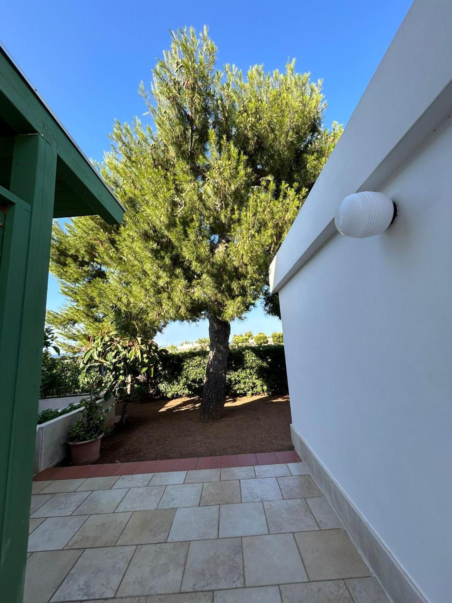 Villa Lamandia Monopoli Eksteriør billede